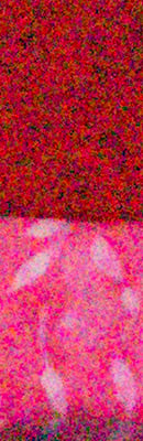 A3000 High ISO Noise Reduction image 66