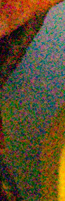 A3000 High ISO Noise Reduction image 69
