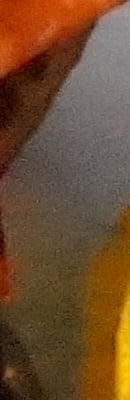 A3000 High ISO Noise Reduction image 77