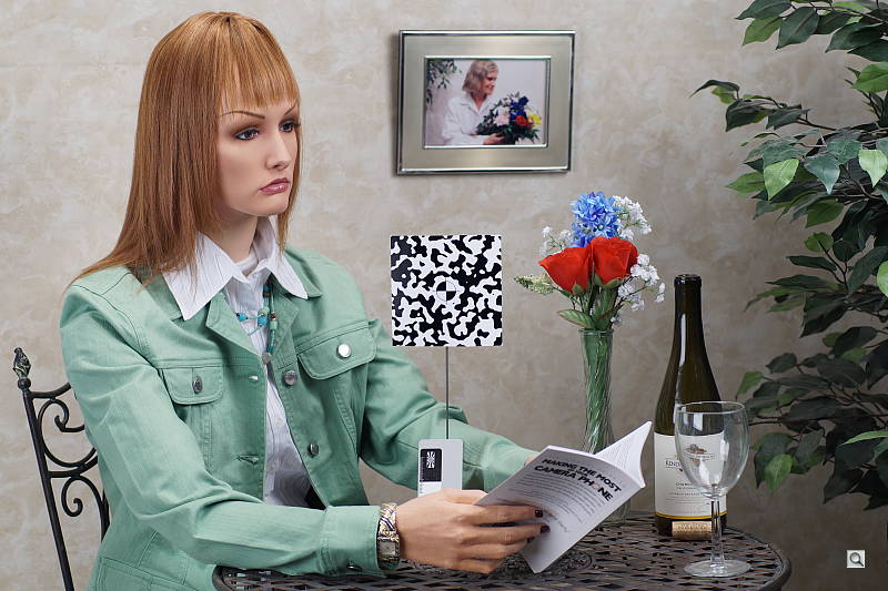 2,600 Kelvin +0.3 EV