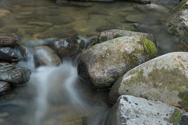 Sony A6300 Review: Field Test -- Noise Test Image