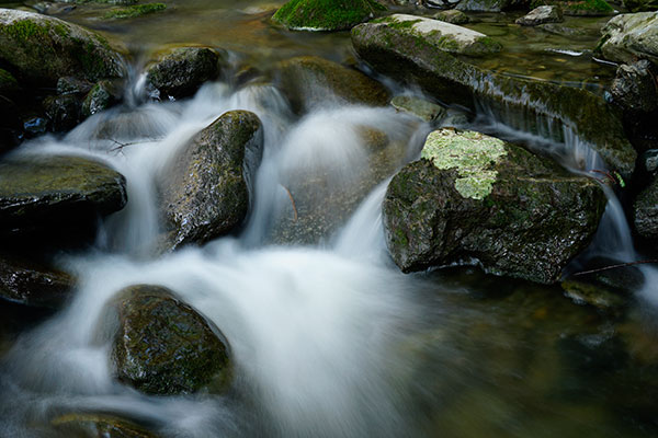 Sony A6300 Review: Field Test -- Gallery Image