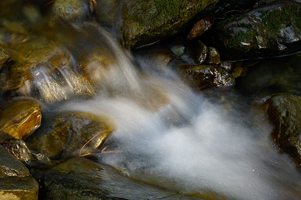 Sony A6300 Review: Field Test -- Gallery Image