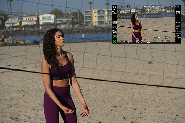 This and the next three images are part of the same sequence. In this first image,