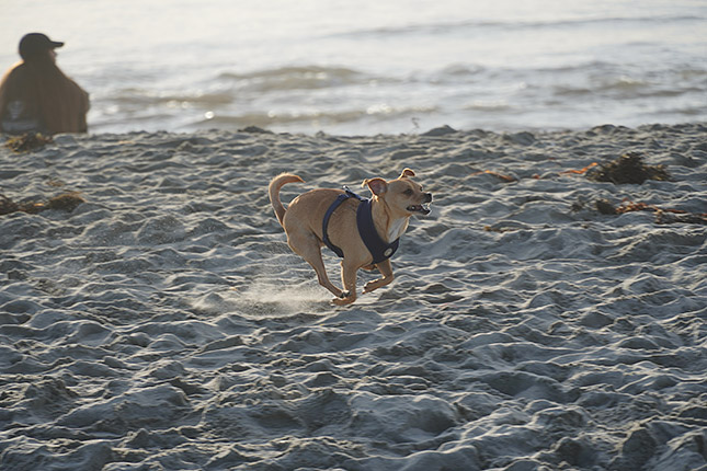 E 18-135mm F3.5-5.6 OSS: 135mm, f/5.6, 1/400s, ISO 100