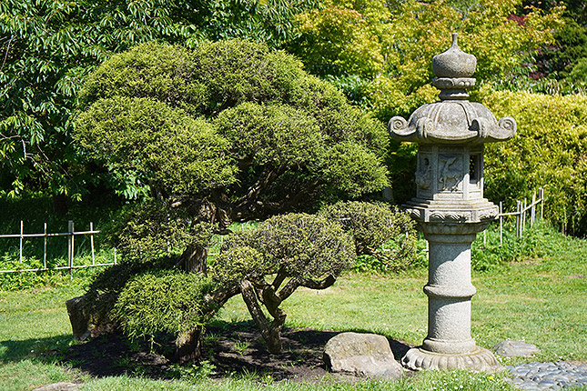 E 16-70mm F4 ZA OSS: 46mm, f/4, 1/500s, ISO 100