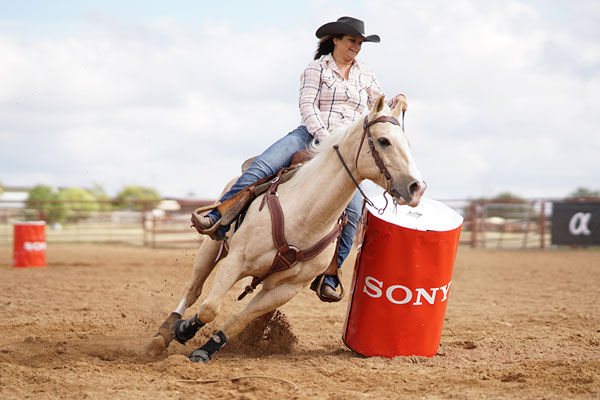Sony A6500 review -- Sample photo