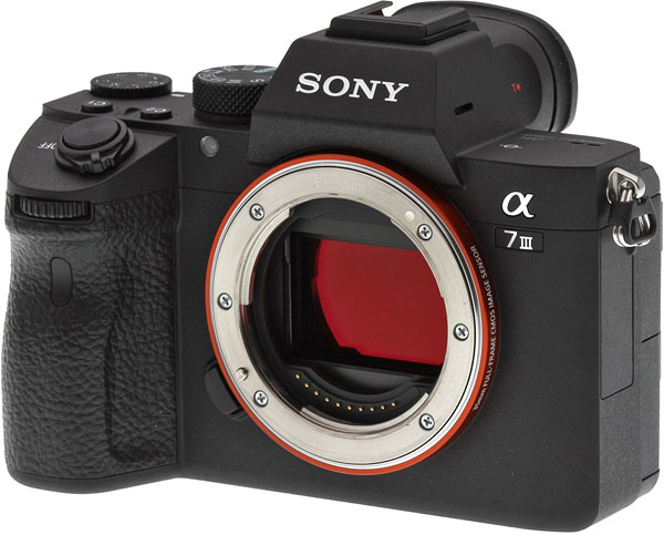 A7 III Overview image 6