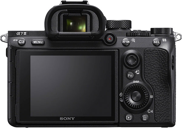 A7 III Field Test image 4