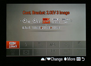 Sony A7 Review -- Bracket options