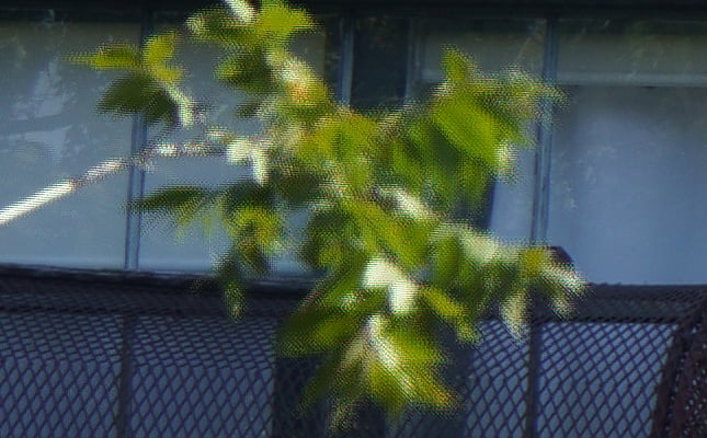 100% Crop