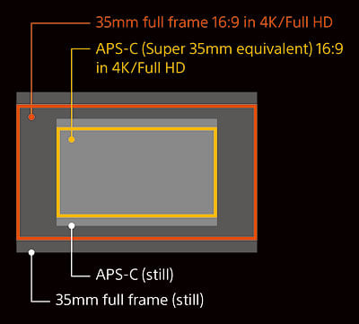 Sony A7S review -- Comparison of the Sony A7S' sensor size