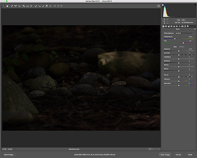 Sony A9 Review -- Gallery Image