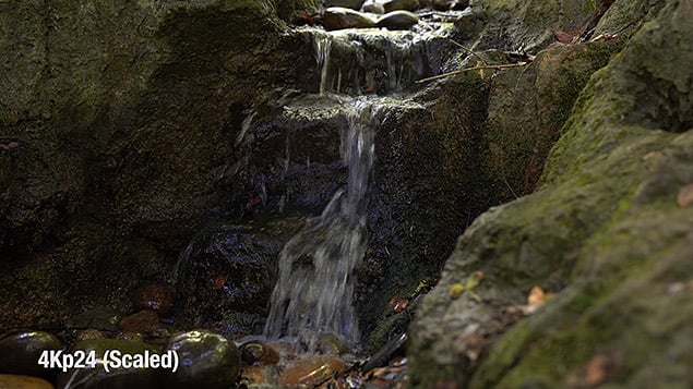 Sony A9 Review -- Gallery Image