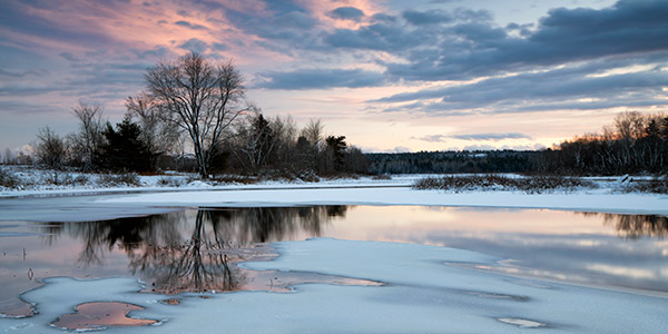 Sony A99 II Review: Field Test -- Gallery Image
