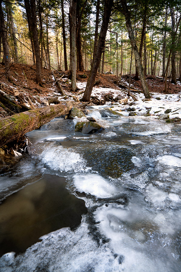 Sony A99 II Review: Field Test -- Gallery Image