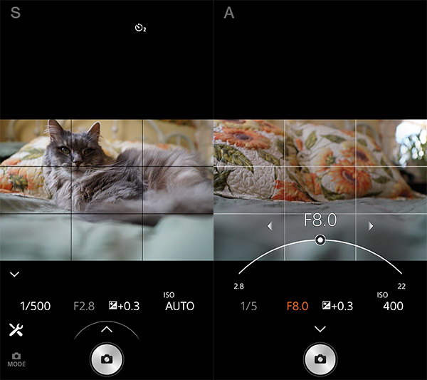 Sony A99 II Review: Field Test -- Wireless Application