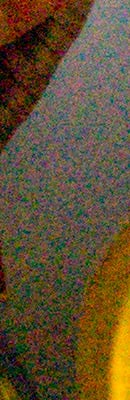 6D RAW Files image 104