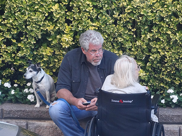 Sony HX300 Review -- Sample image