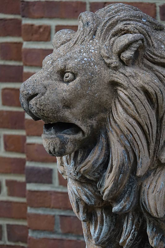Sony RX10 III review -- Sample photo