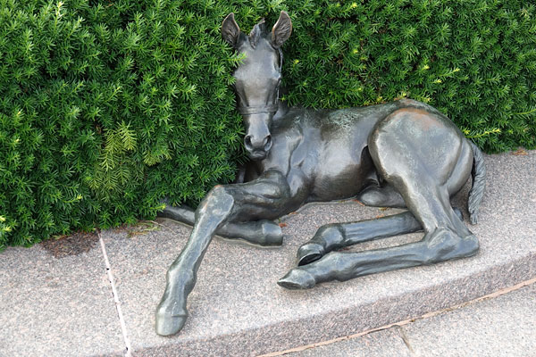Sony RX10 III review -- Sample photo