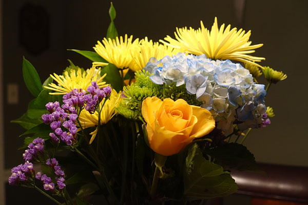 Sony RX100 III review -- Sample photo