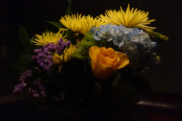 Sony RX100 III review -- Sample photo showing the same 1/2,000 second exposure without flash