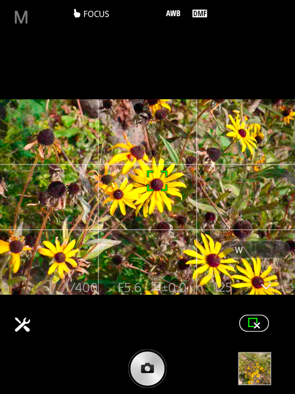 Sony RX100 IV Field Test -- PlayMemories Application