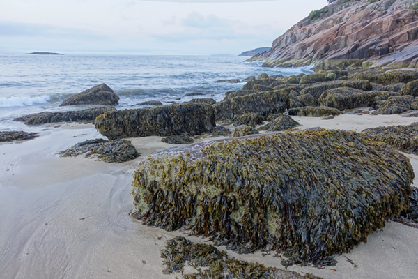 Sony RX100 IV Field Test -- Gallery Image