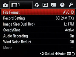 Otherwise, though, the video feature set is quite rich by fixed-lens camera standards. Manual exposure control