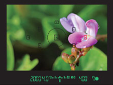 Rebel T5i (EOS 700D) Overview image 5