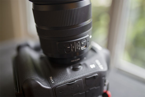 Sigma 24-70mm f/2.8 Art Field Test -- Gallery Image